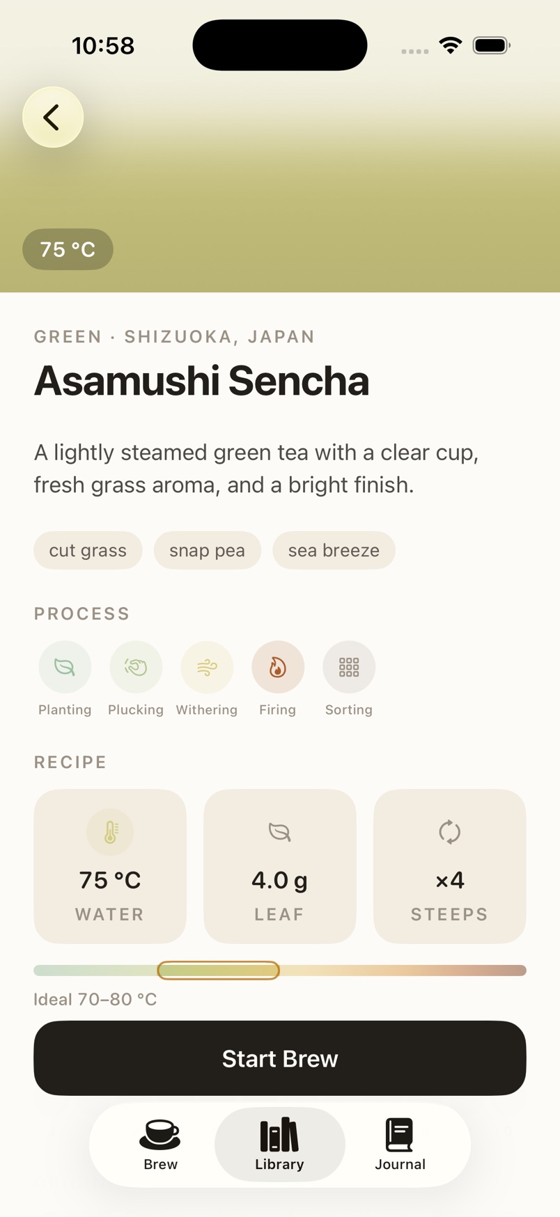 Pekoe tea detail for Asamushi Sencha